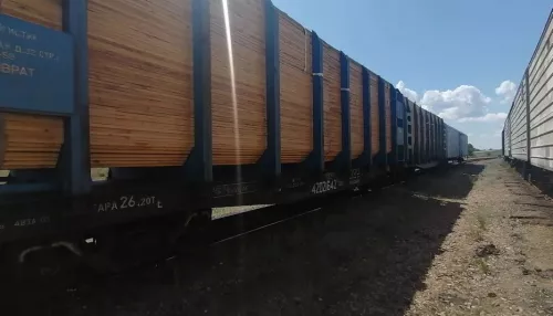 Из Алтайского края попытались незаконно вывезти более 100 кубометров древесины