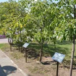 В барнаульском Сквере десантников появились памятные таблички
