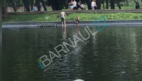 Соцсети: в пруду парка Изумрудный едва не утонул мальчик