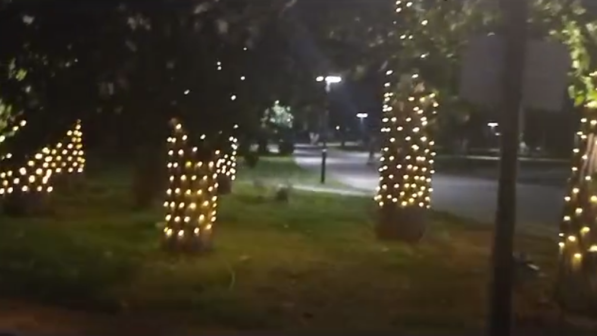 Подсветка на деревьях