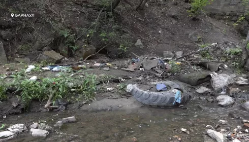 Активисты и юмористы стендап-клуба очистили барнаульский водоем