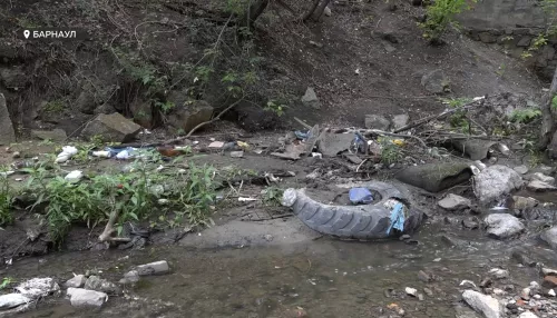 Активисты и юмористы стендап-клуба очистили барнаульский водоем