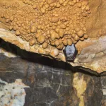 Край тысячи пещер. Эксперты показали, какие тайны скрывают подземелья Алтая