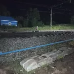 В Алтайском крае грузовой поезд насмерть задавил мужчину