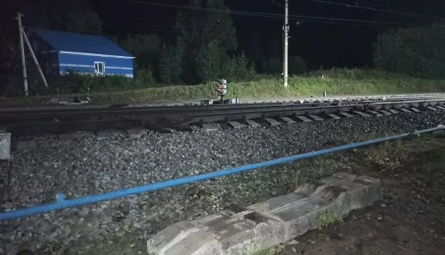 В Алтайском крае грузовой поезд насмерть задавил мужчину