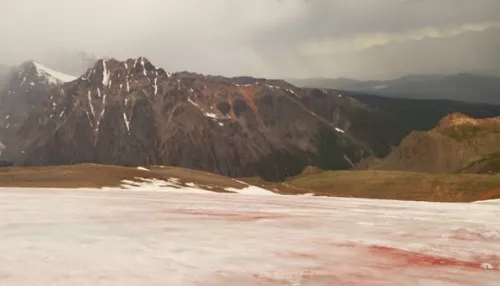 В Горном Алтае ледник окрасился в кроваво-красный цвет: почему это опасно