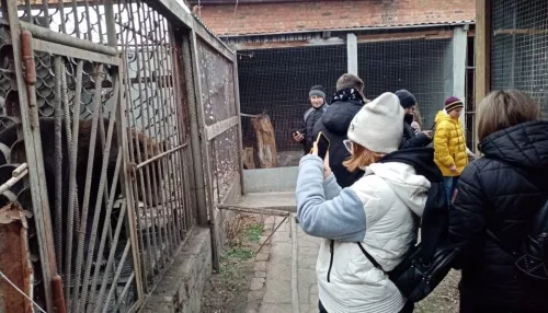 В Алтайском крае из-за нарушений закрыли работавший с 1999 года зоопарк