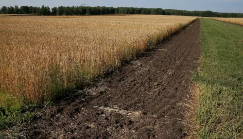 Алтайский сельхозкооператив и ревизионный союз погрязли в выяснении отношений