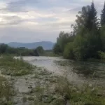 Мать ушла купаться: стали известны подробности гибели ребенка в реке на Алтае
