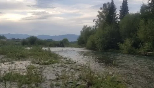 Мать ушла купаться: стали известны подробности гибели ребенка в реке на Алтае