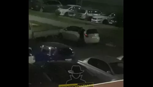 В Барнауле мужчина разбил палкой припаркованное авто