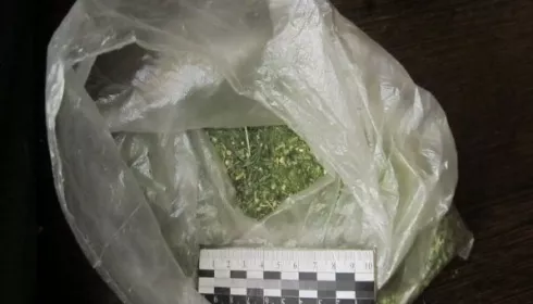 Барнаулец нарвал пакет марихуаны и попал в поле зрения полиции