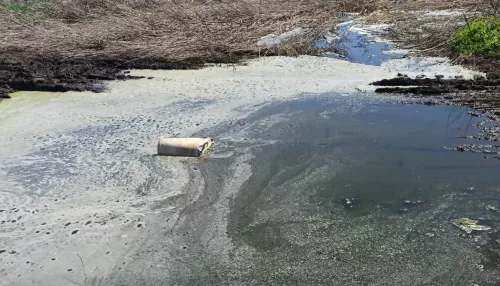 Жители Усть-Калманского района просят остановить сток отходов в местную реку