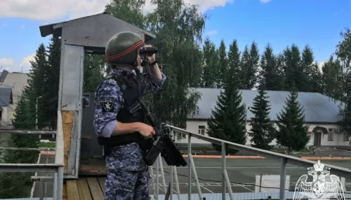 Алтайские силовики получили мощный блокиратор квадрокоптеров в форме автомата