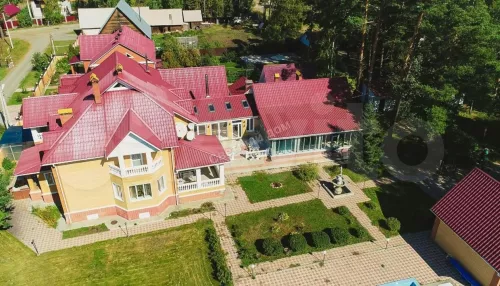 Под Барнаулом за 49 млн рублей продают особняк для роскошной жизни