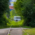 Заросшие, но не забытые: что за железнодорожные ветки пронзают Барнаул. Фото