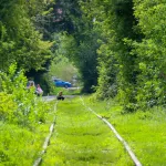 Путь среди джунглей: как железная артерия пронзает центр Барнаула. Фото