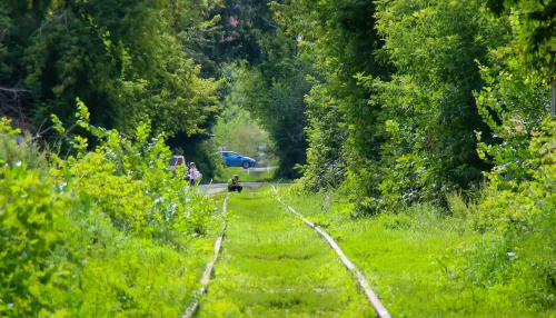 Путь среди джунглей: как железная артерия пронзает центр Барнаула. Фото