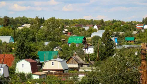 Садовый путч: почему барнаульские дачники решились на штурм зимнего офиса главы СНТ