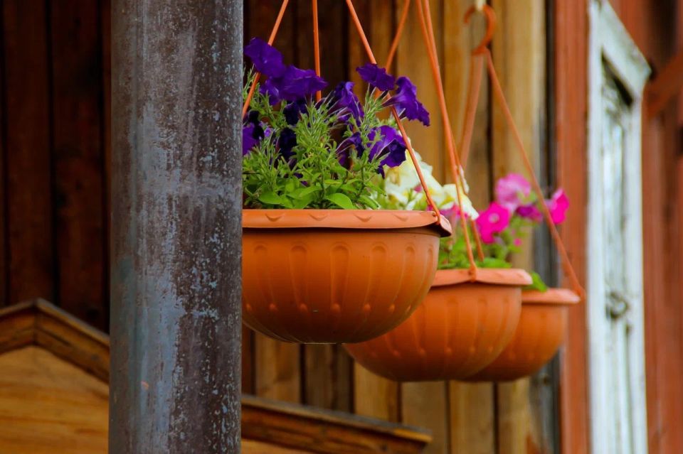 О чем говорят дачники: душевный фоторепортаж с барнаульского садоводства