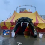 В Барнауле девушка-акробат упала с высоты во время выступления в цирке
