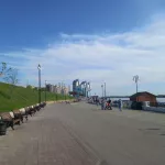 Русские Витязи впервые покажут авиашоу на Дне города в Барнауле