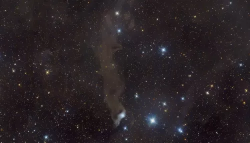 Астрофотограф показал вид на Вселенную из Горного Алтая