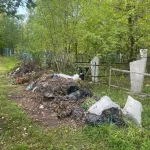 Алтайский депутат призвал разобраться с мусором на кладбище в Новоалтайске