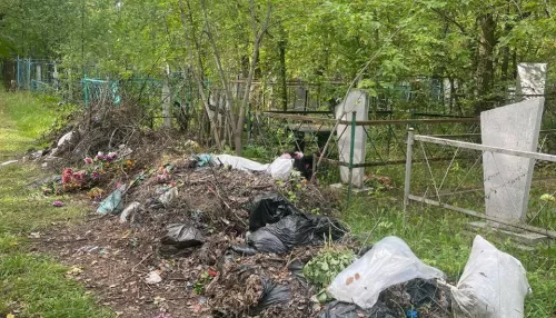 Алтайский депутат призвал разобраться с мусором на кладбище в Новоалтайске