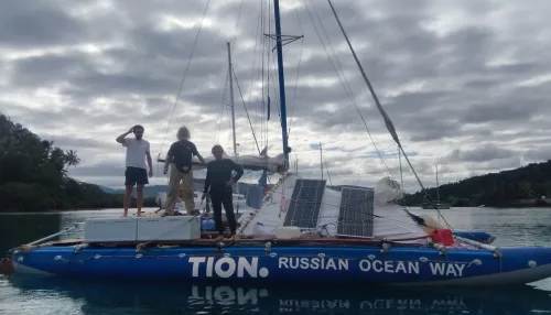 Акулы потопили катамаран российской кругосветной экспедиции в Тихом океане