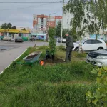 Стало известно, на каких улицах Барнаула осенью высадят новые деревья