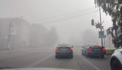 Барнаульцы поделились завораживающими кадрами туманного утра