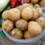В алтайских магазинах снижаются цены на молодые кабачки, картошку и лук
