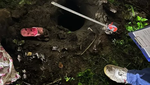 В Красноярском крае нашли тело восьмилетней девочки в яме