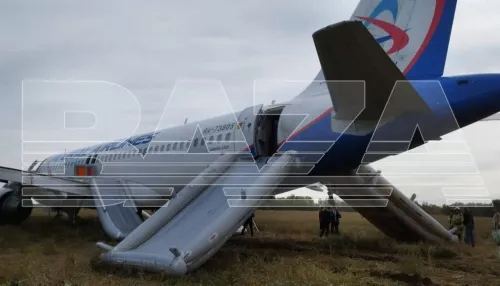 Что известно о пилотах, посадивших самолет в поле под Новосибирском