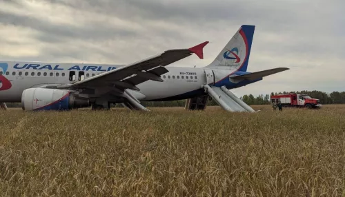 Алтайский летчик прокомментировал экстренную посадку Airbus в пшеничном поле