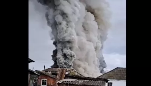 Огромный столб дыма: под Новосибирском произошел крупный пожар