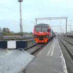 На страже леса. Кто и как защищает зеленые богатства Алтайского края от огня