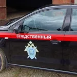 Житель Алтайского края избил соседку и выстрелил ей в лицо