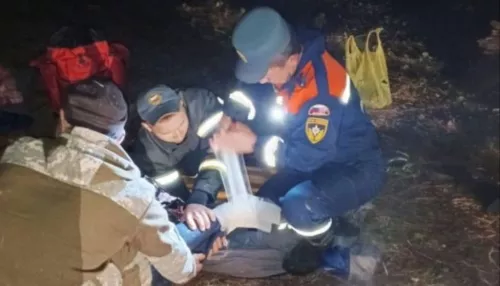 На Семинском перевале сборщик орехов упал с дерева и получил травмы