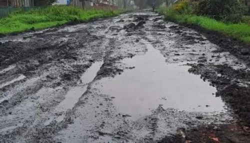 Жители Бийска пожаловались на превратившуюся в месиво дорогу