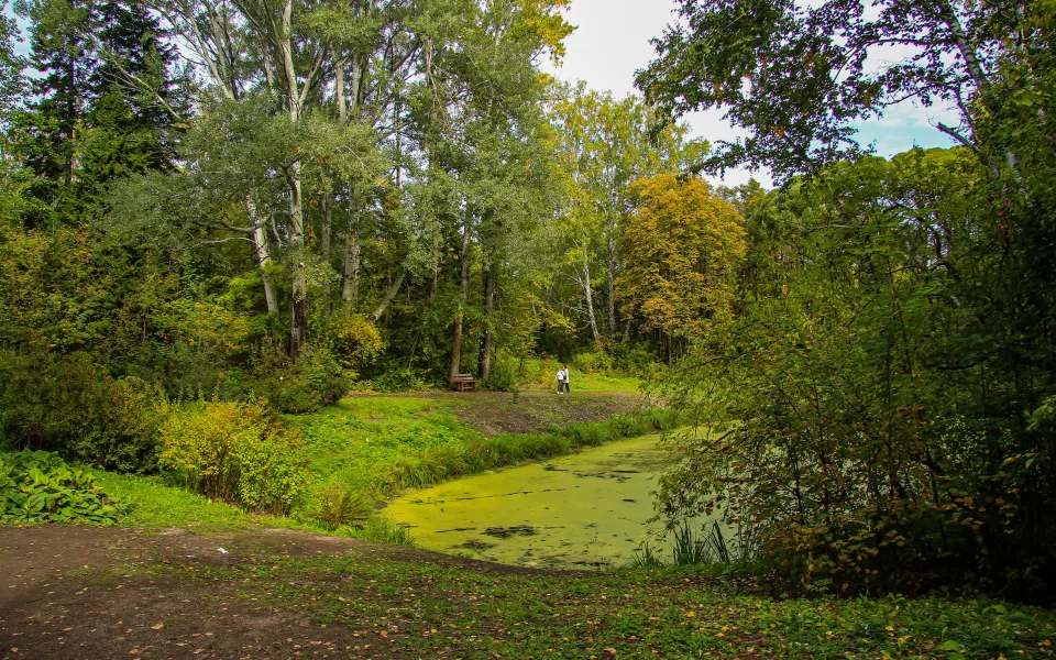 Алтайский край ждет сложная погода с дождями и похолоданием