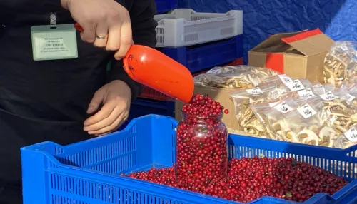 В Барнауле начинается сезон весенних продуктовых ярмарок
