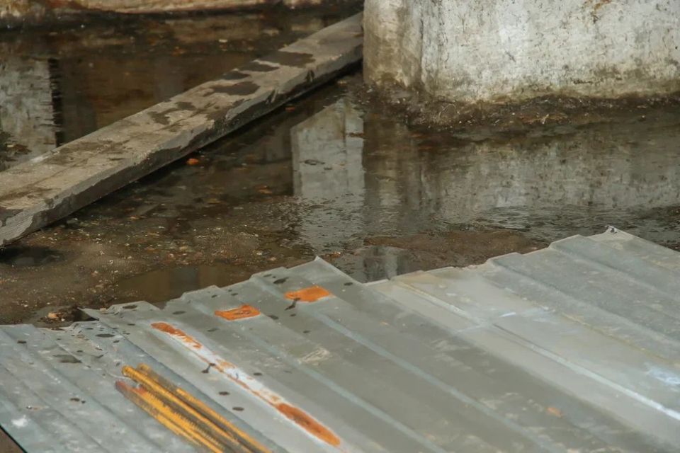 Жильцы барнаульской пятиэтажки пожаловались на затопленный фекалиями подвал