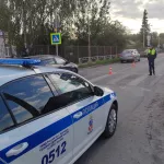 В Барнауле водитель насмерть сбил семилетнюю девочку и сбежал