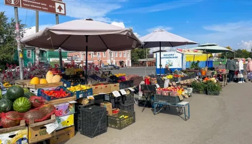 Урожай-2023: чем и по каким ценам торгуют на уличных базарчиках Барнаула. Фото