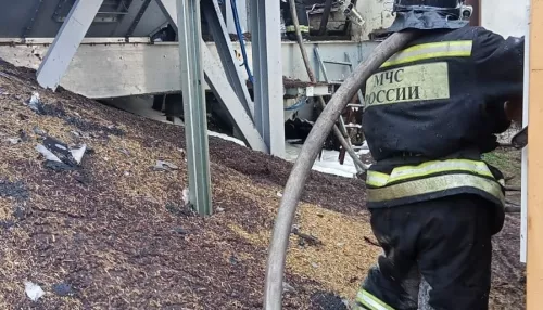 В Алтайском крае на элеваторе сгорело три тонны рапса