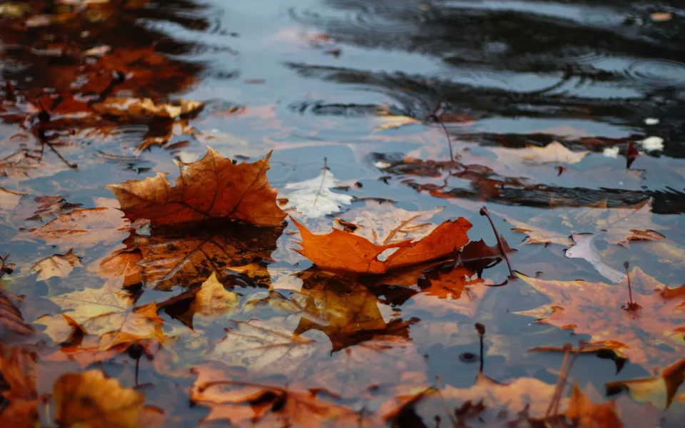 Похолодание и ночной минус придут в Алтайский край к концу недели