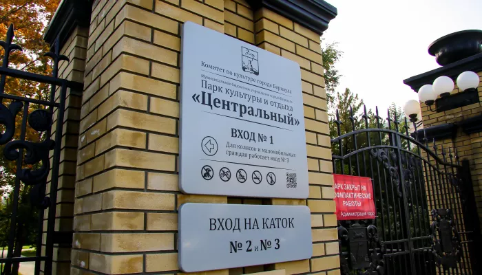 Из-за штормового ветра барнаульцев просят не посещать парки