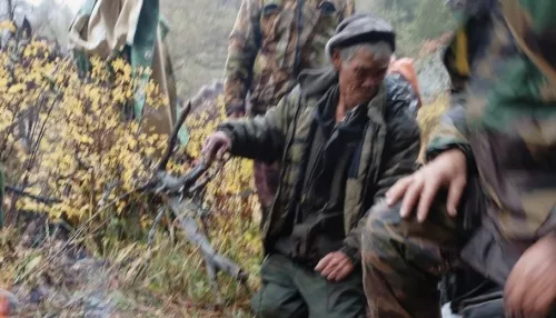 На Алтае спасли сборщика шишек, который заплутал в тумане